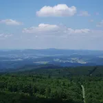 Steiner Wirt * Tiefenbach (Upper Palatinate)