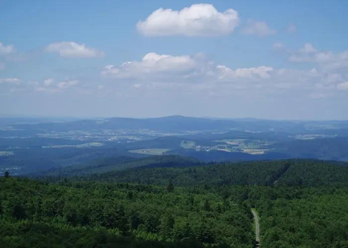 Steiner Wirt * Tiefenbach (Upper Palatinate)